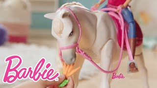 Barbie DreamHorse™ | @Barbie