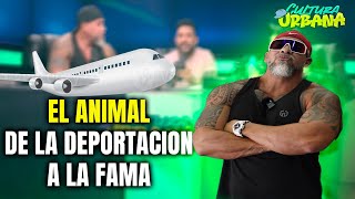 EL ANIMAL DE LA DEPORTACION A LA FAMA.