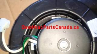 A163 Fasco Furnace Inducer Motor FB-RFB547 7021-9450