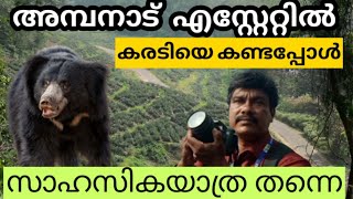 ആനയും കരടിയും നേർക്കുനേർ മഞ്ഞിൽ കുളിച്ച താഴ്‌വാരം| Ambanad Hills | Dangerous Hillpoint