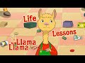 Llama Llama Learning Valuable Life Lessons Compilation