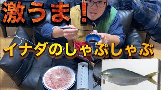 激うま！イナダでしゃぶしゃぶ🐟【I cooked Yellowtail shabu-shabu.】