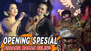 Spesial Opening Guyon Maton Cak Percil Cs Di Tegalrejo Tempusari Lumajang