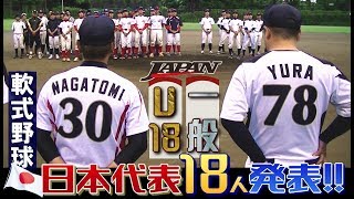 運命の日本代表メンバー発表！2017軟式野球国際大会・U-18/一般 SWBC JAPAN