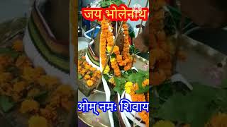 कमरछठ की शुभकामनाएं || जय| हलषष्टी मैया || शिव दर्शन भजन स्वरचित || शुभ प्रभात #shivbhajan#shorts