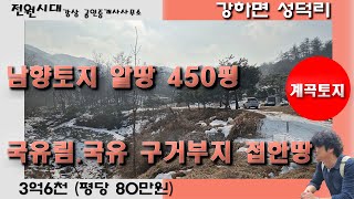 *계곡토지 남향 450평* 국유림 국유구거 붙어있는 과수원같은땅 소나무 조경수 유실수 가득 강하면 성덕리 양평전원주택 토지매매 강하면계곡땅 숲세권토지 캠핑토지 양평땅급매 급매물토지