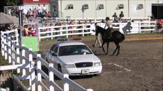 NAPEC 2014 Obstacle Course on Desi