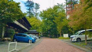 4K 長野県内車載 2020.09.03 ❚ 浅間山麓 林道高原ドライブ車載 Onboard cam in Nagano prefecture