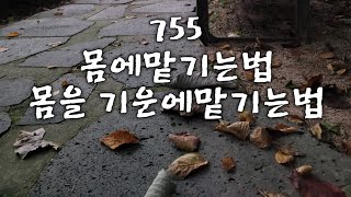 [새벽5시세포명상]755.맡기는 방법을 모른다는 분들이 많습니다. 몸에 맡기는걸 알게되면 몸을 기운에 맡기는것도 쉽게 알아져요.이렇게 해 보세요.