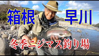 初心者必見！箱根早川冬季ニジマス釣り場　flyfishing in Japan