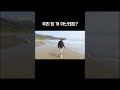 옆집 개한테 밥 잘 챙겨줬더니 골라듄다큐 shorts