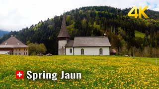 Swiss Village Jaun, splendid wooden houses, waterfall lies directly across village centre, Spring