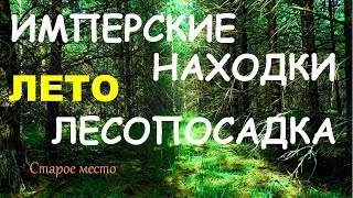 Имперские находки.Летний коп в лесопосадке