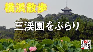 横浜散歩　三渓園をぶらり