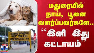 மதுரையில் நாய், பூனை வளர்ப்பவர்களே.. ``இனி இது கட்டாயம்''