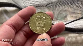 今天出门买菜大爷找给我的硬币 第一次见到五元硬币 纯金的