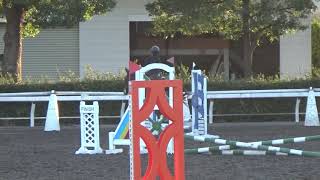 2018.12.14 第54回関東高等学校自馬競技大会 第2競技 クロスバー＆バーティカル競技 (50cm) 鮫島珠百合 慶喜号