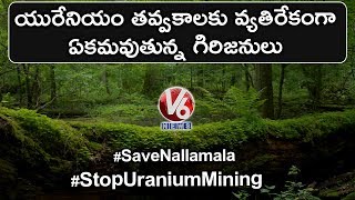 Chenchu Tribes Stand Guard To Save Forests Of Nallamala Against Uranium Mining | V6 Telugu News