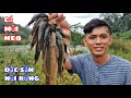 Sang Vlog - Bắt Cá Bống Đá Đặc Sản Của Núi Rừng Tây Nguyên