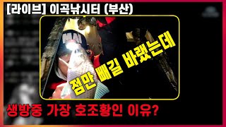 [라이브 요약] 한겨울 대박조황, 아름다운찌올림(이곡낚시터) 편대낚시, 낚시아빠