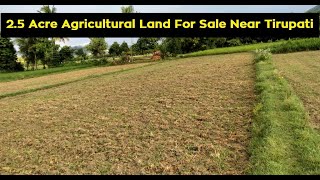 Agricultural Land for Sale in Tirupati | 2.5 Acres in Chintakalva Village