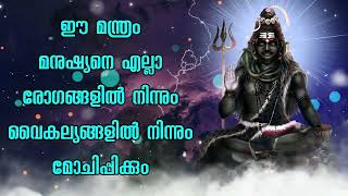 ഈ മന്ത്രം മനുഷ്യനെ എല്ലാ രോഗങ്ങളിൽ നിന്നും വൈകല്യങ്ങളിൽ നിന്നും മോചിപ്പിക്കും