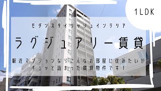 【ルームツアー：RHM】津田沼駅近、4分！人気がありすぎて問い合わせ殺到中の駅近マンション！シングル・カップルへオススメする１ＬＤＫ！今回は3タイプある間取りのうちの３号室のお部屋を大公開！