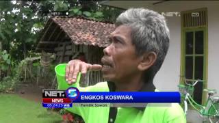 Longsoran Sampah Merusak Satu Hektar Persawahan Milik Warga Kota Banjar - NET5