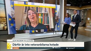 EU-experten: Därför är veteranbilarna INTE hotade | Nyhetsmorgon | TV4 & TV4 Play