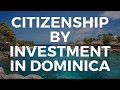 HOW TO BUY A PASSPORT? CITIZENSHIP BY INVESTMENT IN DOMINICA