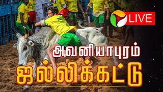 🔴Avaniyapuram Jallikattu live | அவனியாபுரம்  ஜல்லிக்கட்டு! | Madurai | PTD