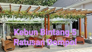 Ratusan Dompol Kebun Bintang 5