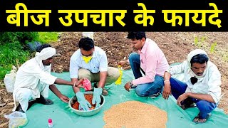 बीज उपचार क्या है | जानें, बीजोपचार के लाभ | Benefits of seed treatment | Krishi Network