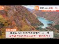 冷え込み強まり各地で紅葉が見頃に！【sunトピ】｜tbs news dig