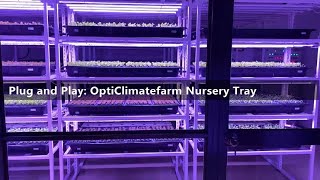 DFT Nursery Systems