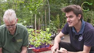 🌳 Bordjes maken voor je voedselbos planten  🌰 - Kruisbessen proeftuin - Marc Geens & Louis De Jaeger