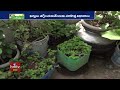 ఇంతింత చెట్లకు ఎన్నెన్నో కాయలు bonsai crafting by yugandhar hmtv agri