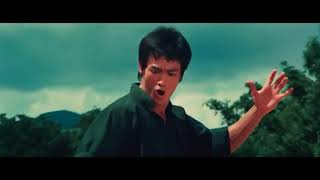 Bruce Lee kung fu fighting remix