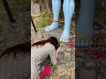 🌙Mahadev 💜 #shorts #trending #mahadev #ytshorts ||Soni Karki