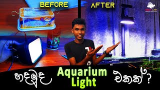 How to Make DIY Aquarium light and Stand | වෙනස් විදිහේ අපූරූ light එකක්.