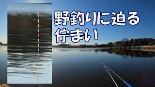 ヘラブナ釣り・兎谷津へら鮒センター（茨城県）・2021/12/28