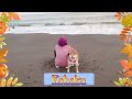 【柴犬 shibainu】琥珀、初めての江ノ島 u0026初めての海💜