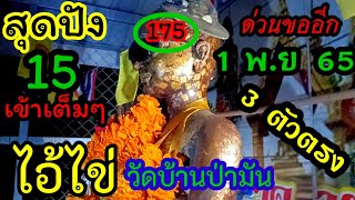 ตามด่วน #15เข้าเต็มๆ#ไอ้ไข่เด็กวัดเจดีย์\