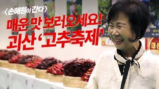 [손혜원이 간다] 매운 맛 보러오세요! 괴산 '고추축제'