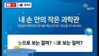 전시물 모바일 해설 영상 : 눈으로 보는 걸까? 뇌로 보는걸까 ?