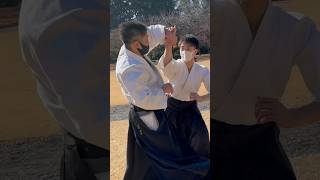 片手取り外回転投げ #合気道  #aikido