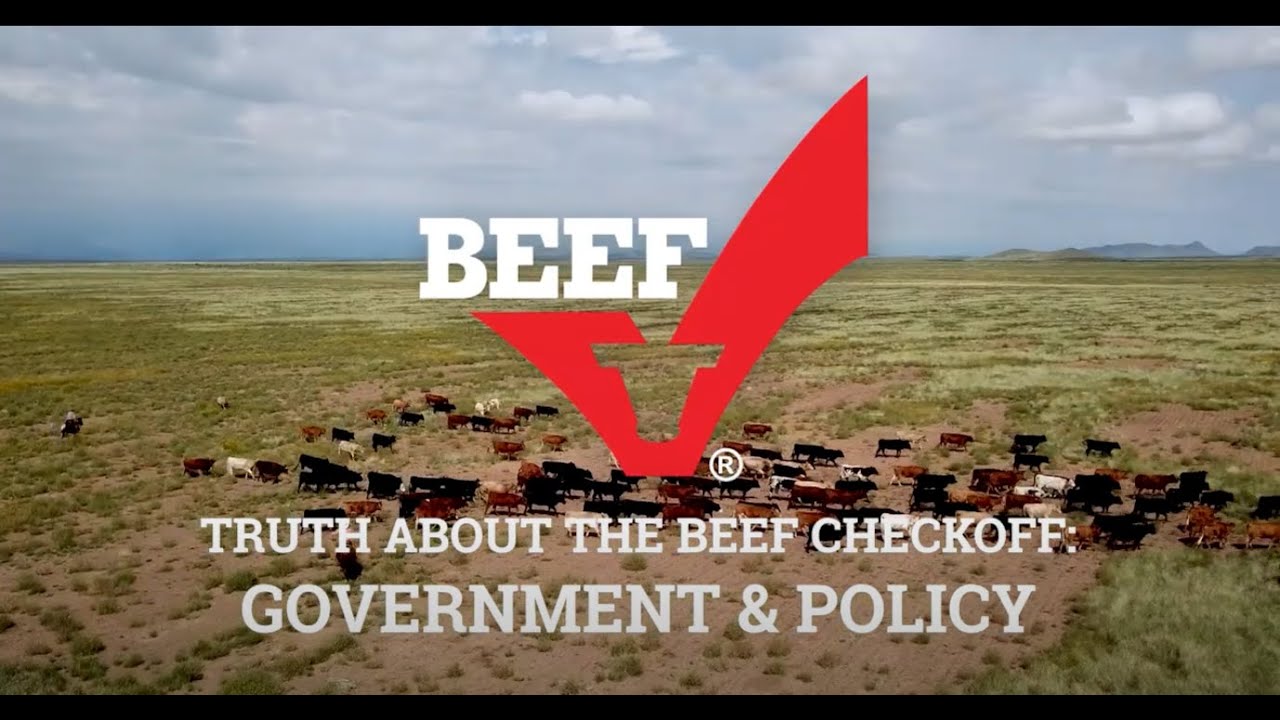 Truth About The Beef Checkoff Video Series: Government And Policy - YouTube