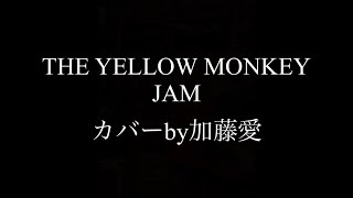 THE YELLOW MONKEY  JAM  カバーby加藤愛