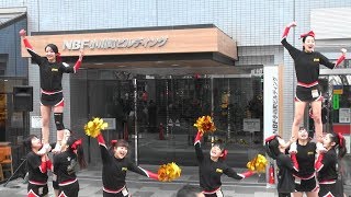 チアリーディングチーム　cyclones　東京マラソン　2018　NBF小川町ビルディング前　2/4