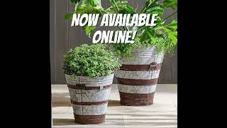 Galvanized Iron and Copper Strips Bucket Planters Set of 2 | Decorrizz India